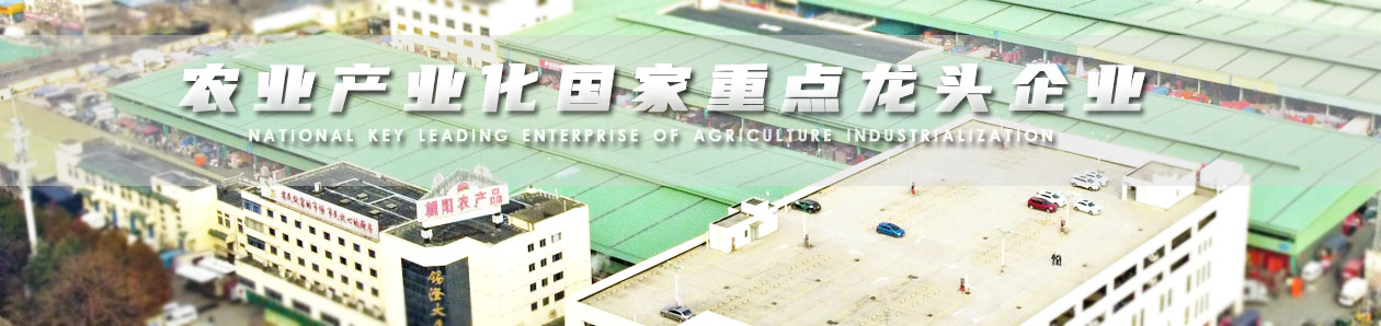 龍頭企業